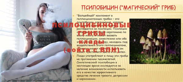 дживик Абинск