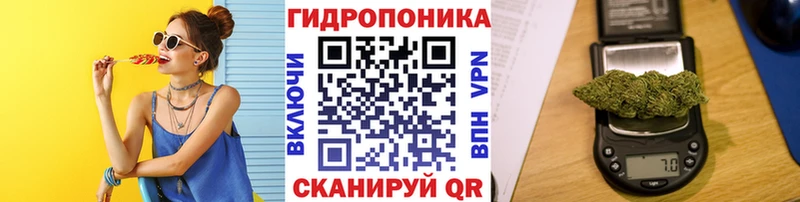 Конопля ГИДРОПОН Чкаловск